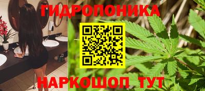 ешки Лесосибирск