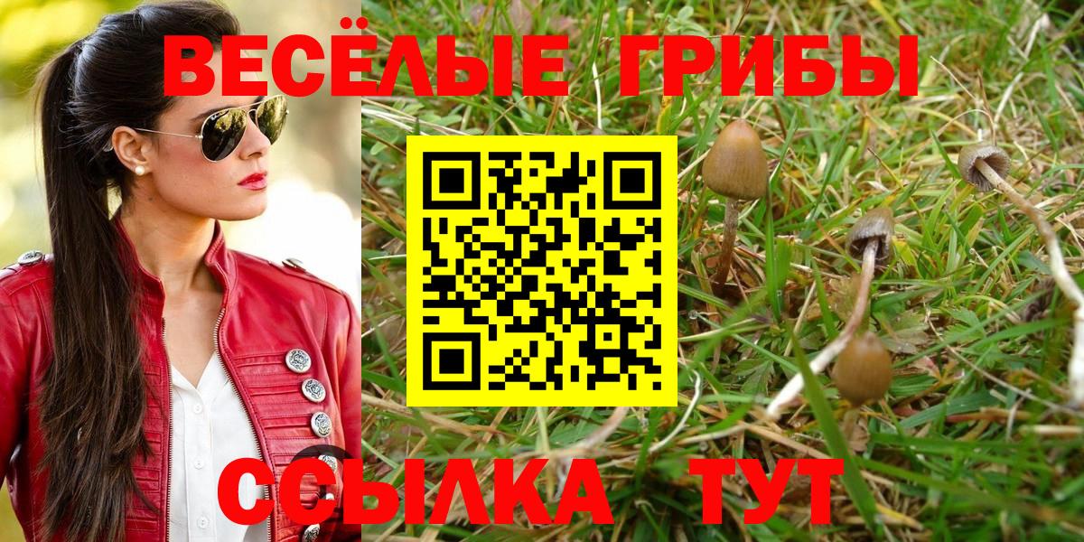 Галлюциногенные грибы мухоморы Углич