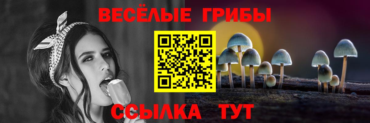 Галлюциногенные грибы Cubensis  Вход с VPN  Галлюциногенные грибы мухоморы  Углич 